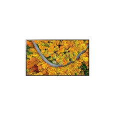 (신세계강남점)LG전자공식인증점 LG 울트라HD TV 벽걸이형 55UR642S0NC 138cm 